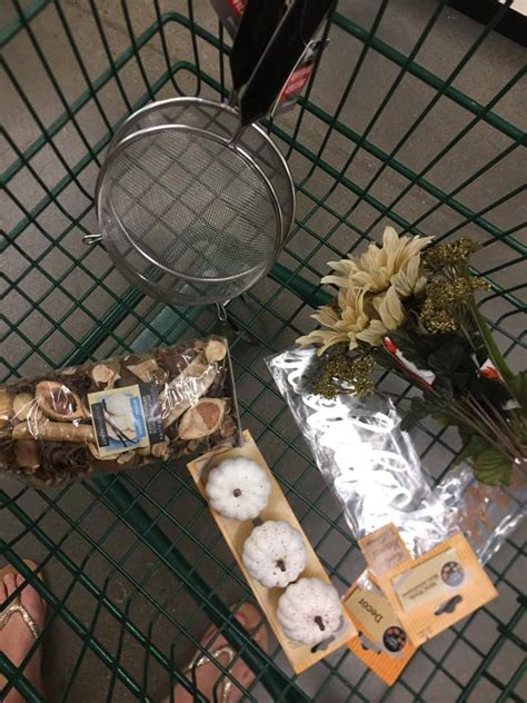 Dollar Tree Strainer Craft