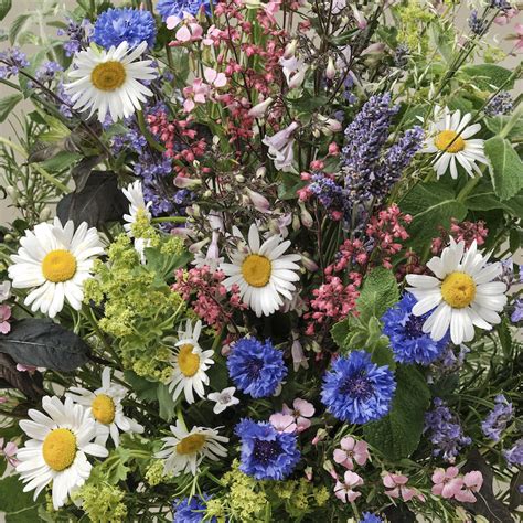 Dolly Mixture Flowers