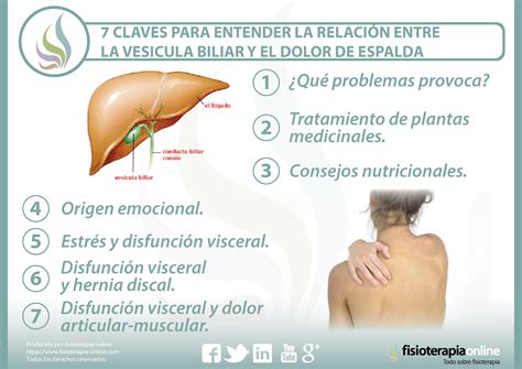 ¿Sabes qué es el Dolor de Vesícula y Cómo Aliviarlo?