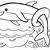 dolphin colouring pages free printable