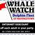 dolphin fleet whale watch coupon