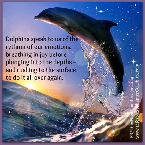 Dolphin Quotes & Sayings Animal Quotes & Sayings