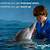 dolphin tale quotes