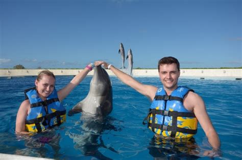 dolphin encounter in punta cana
