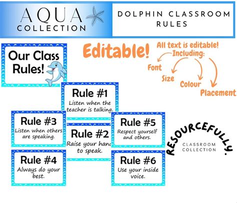 dolphin watching rules