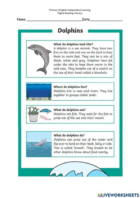 Dolphin Worksheet