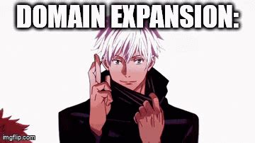 Domain Expansion Meme
