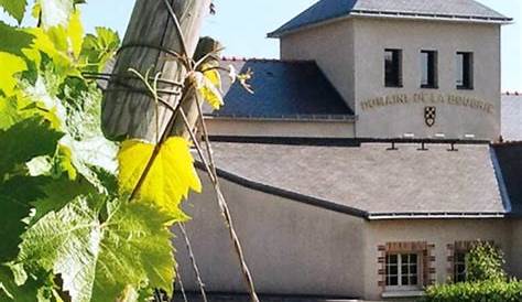 Domaine de la Bougrie | Vins du Val de Loire