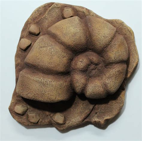 Pokemon Dome and Helix Fossils Shut Up And Take My Yen