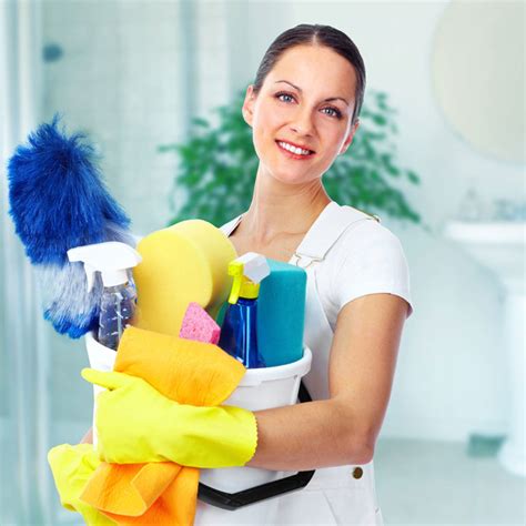 domestic cleaning services london