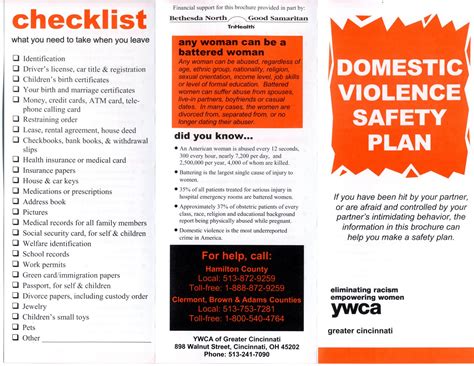 domestic violence safety action plan