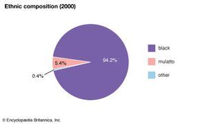 dominant race in haiti