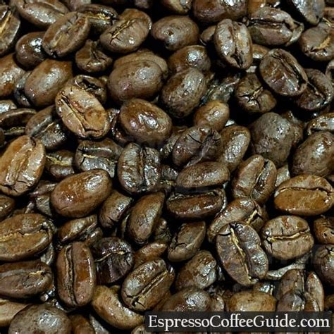 dominican republic coffee beans