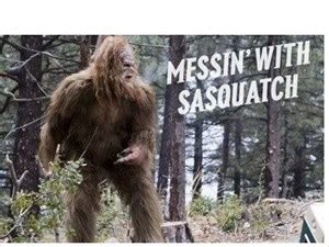 don't mess with sasquatch