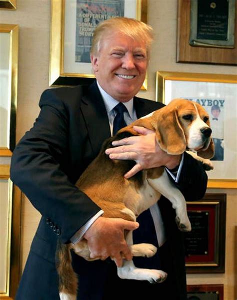 donald trump on dogs