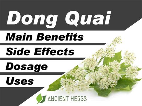 Error 404 Interactive, Theanine, Turmeric side effects