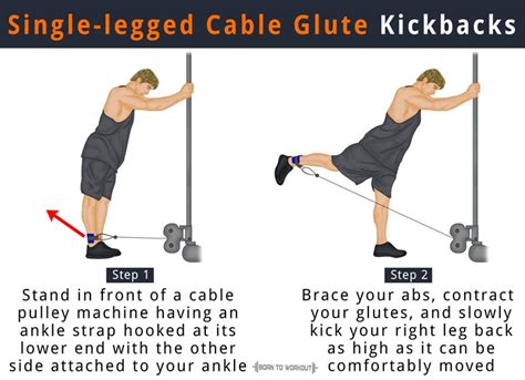 Donkey Kicks Vs Cable Kickbacks
