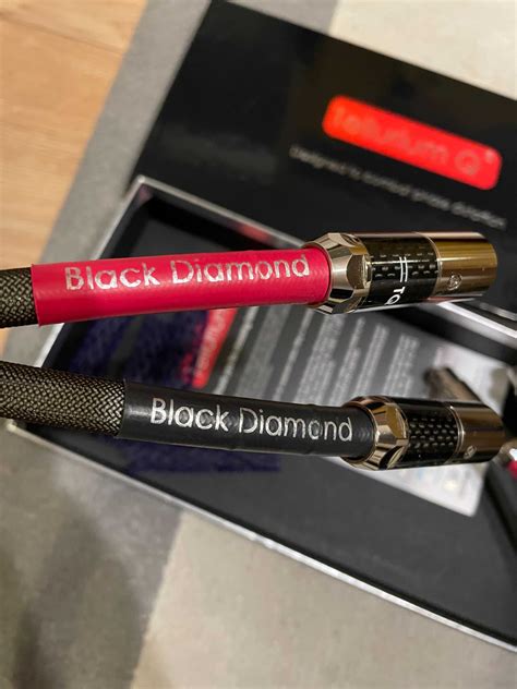 Saree Boldly 7532 Special Content: 2026 Collection