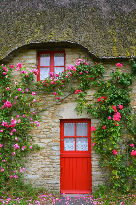 door to door flowers