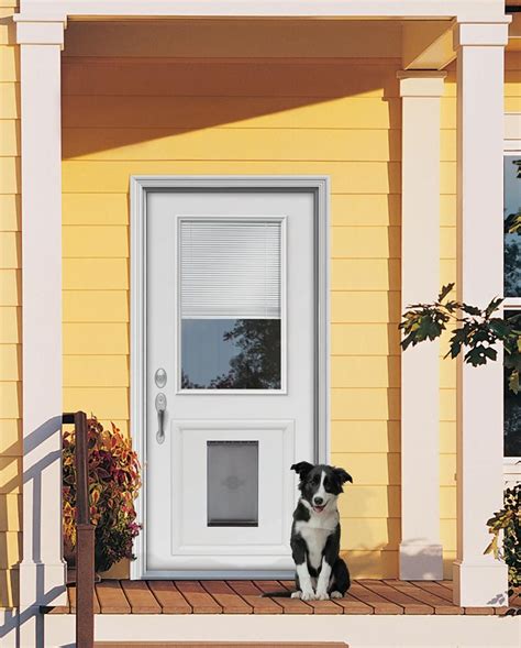 door with doggy door installed