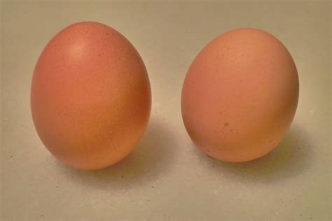 Dos huevos de Brown foto de archivo. Imagen de marrón
