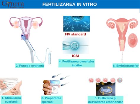 dosar fertilizare in vitro