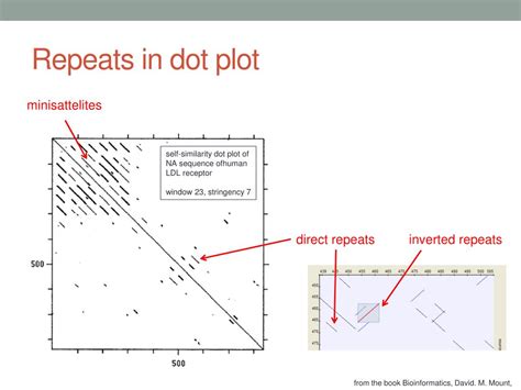 dot plot rules