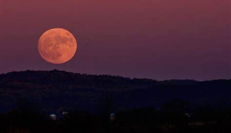 Photo Pleine Lune Ciel Rose Pix : Les Plus Belles Images De La Super