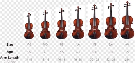 Double Bass Bow Size Chart