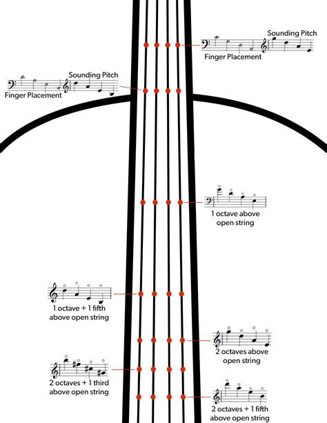 Double Bass Notes On Strings