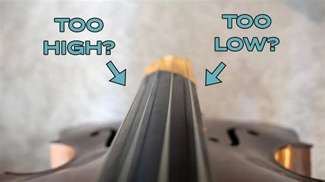 Double Bass Strings Height
