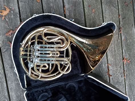 Double Buzz French Horn