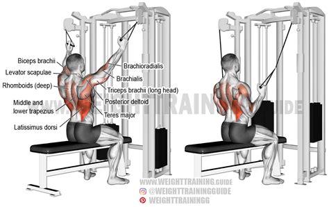 Double Cable Back Exercises