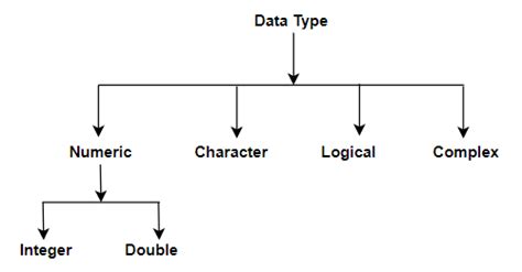 double data type in r programming