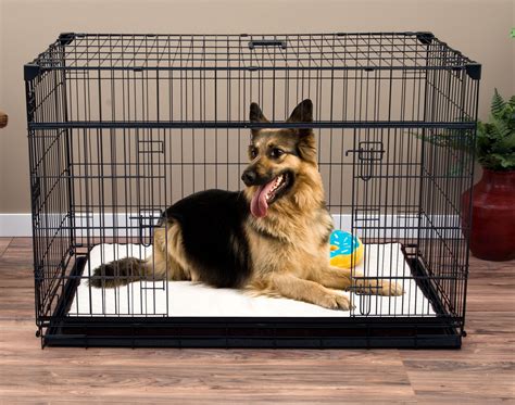 double door pet crate