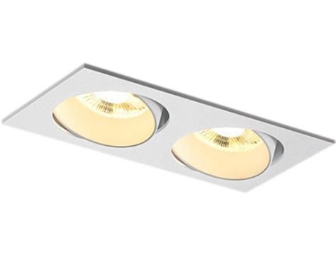 Double Wall Washer Downlight