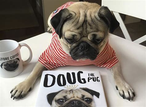 doug the pug facebook