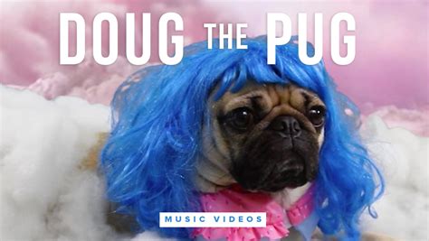 doug the pug songs