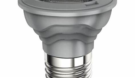 Douille Ampoule Led Castorama LED à Filament Diall Globe E27 8W=75W Blanc Neutre