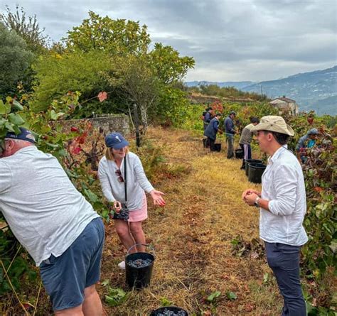 douro valley crowds