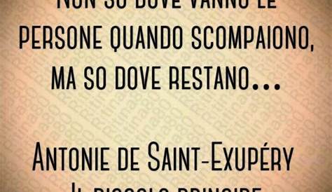 Il Primo Passo... | Words, Cool words, Quotes