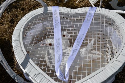 Dove Heart Basket