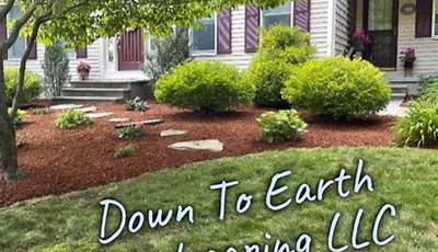 Down To Earth Landscaping Llc
