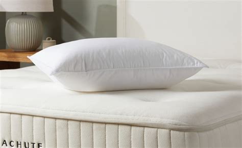 Down Pillow Cost