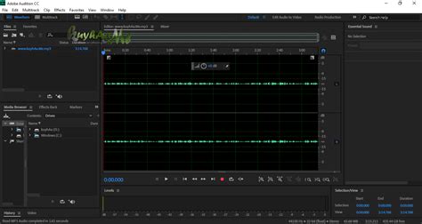 Download adobe audition cc 2017 bagas31 taiapets