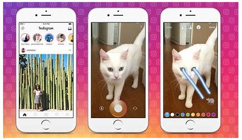 Easily Download Instagram Stories using inFlact: Here's how? » GADGET SKOOL