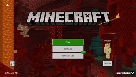 Download Minecraft 1.16 Oyuntakip