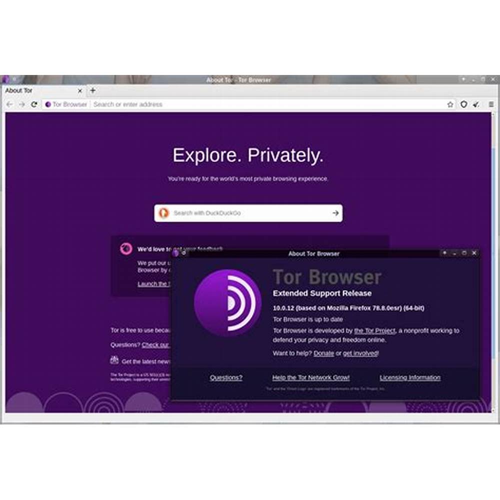 Download Browser Tor
