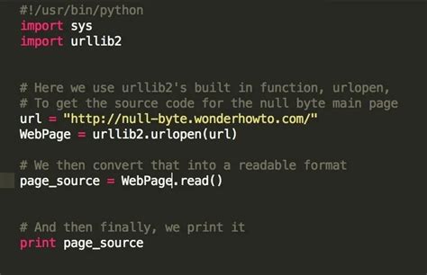 download source code website python