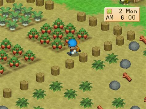 Download Harvest Moon Back to Nature untuk PC